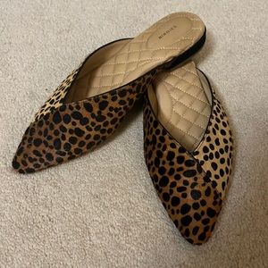 Birdies “Swan” mule - size 7 in leopard calf hair